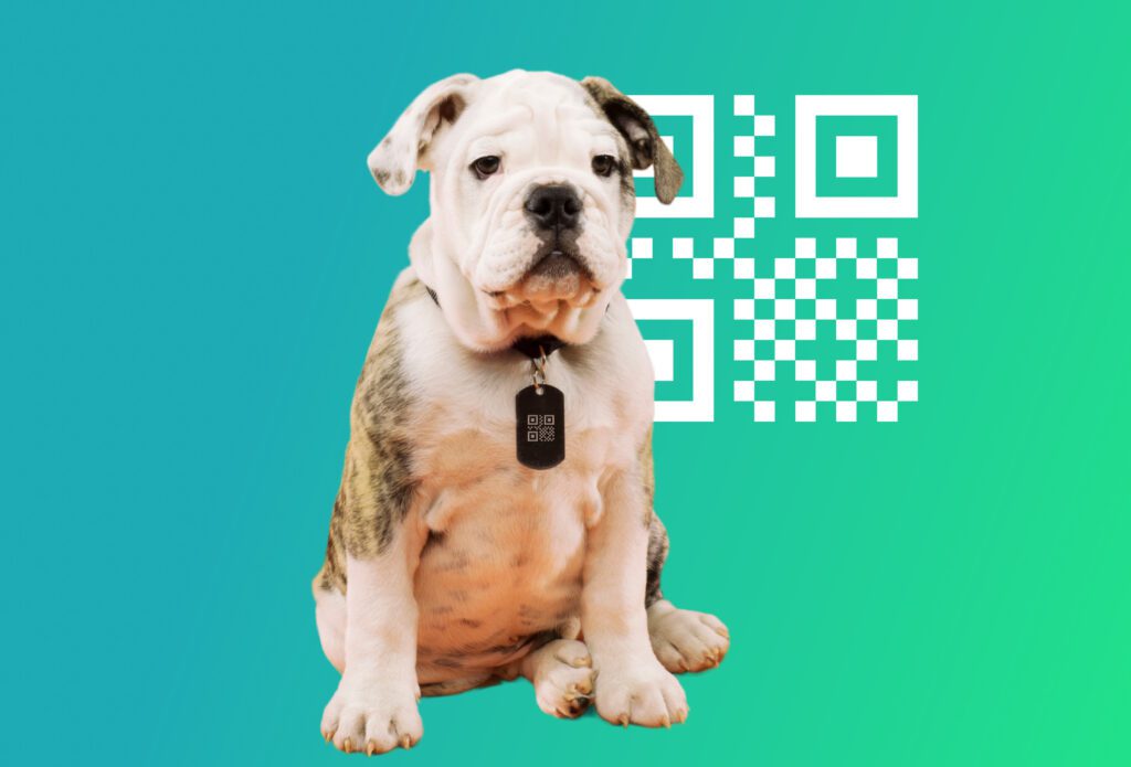 3 uses of a dynamic QR code you may never have thought of